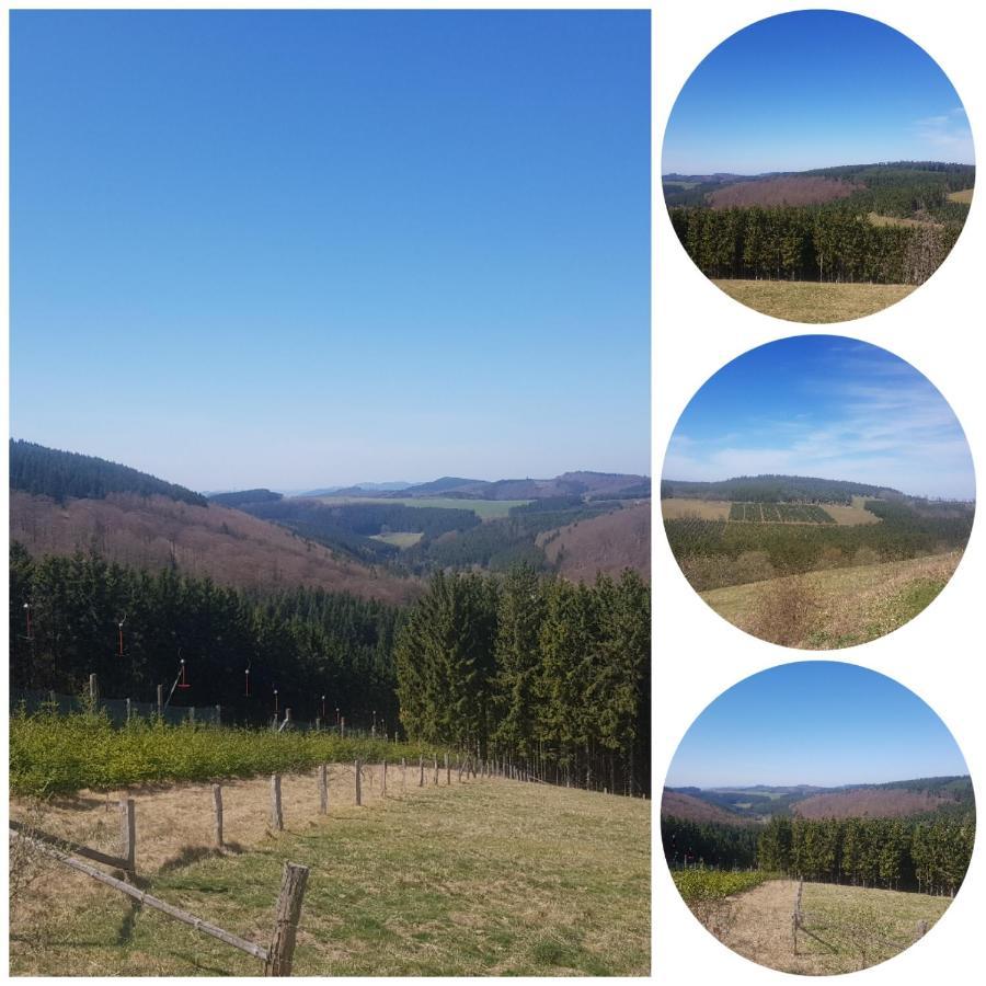 Ferienwohnung Parkblick Medebach Exteriör bild
