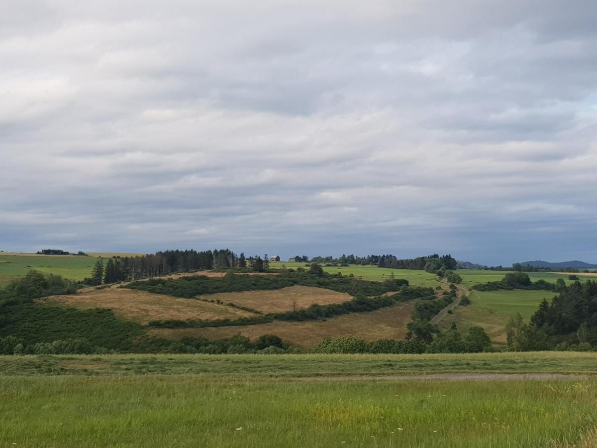 Ferienwohnung Parkblick Medebach Exteriör bild
