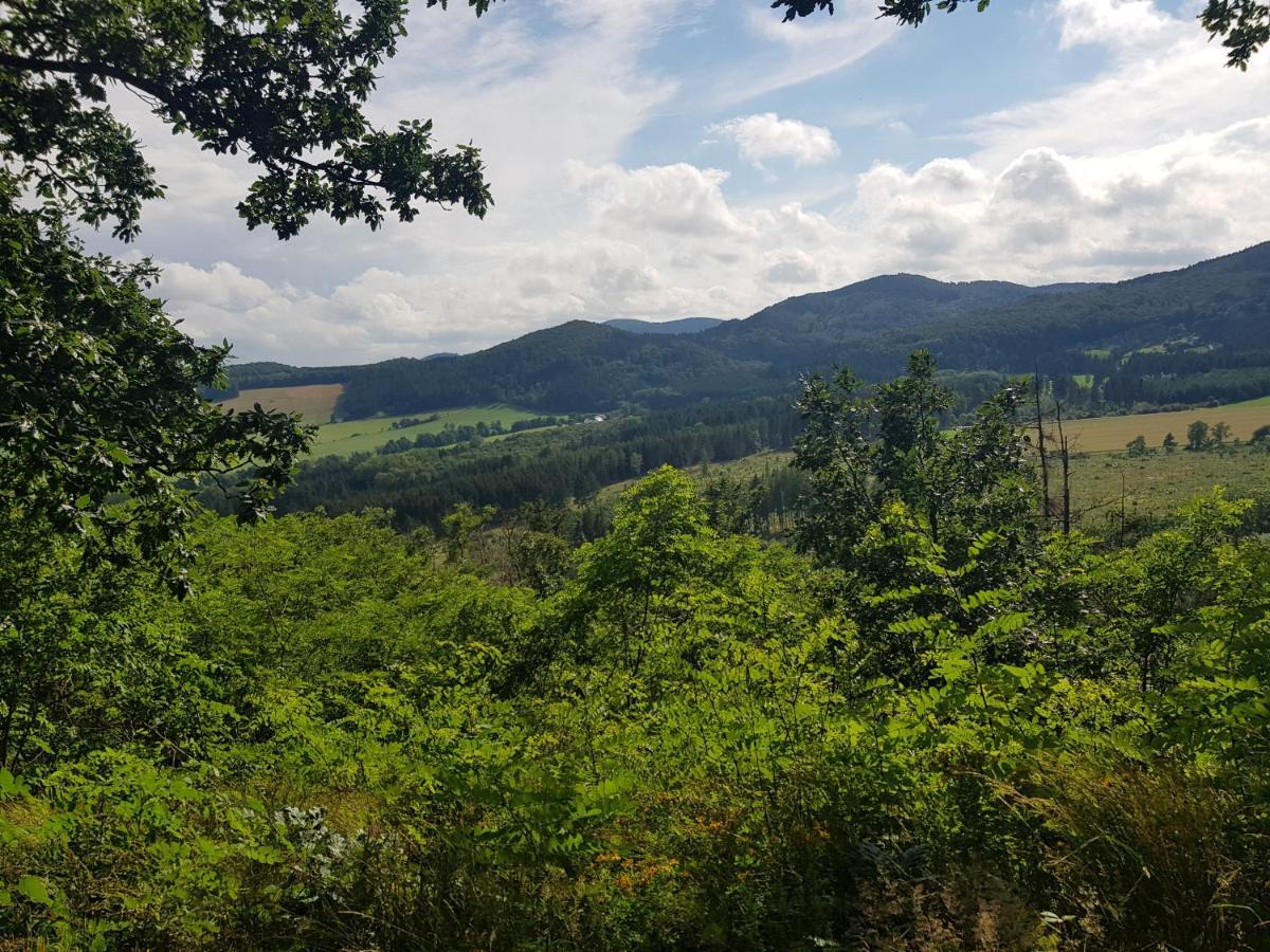 Ferienwohnung Parkblick Medebach Exteriör bild