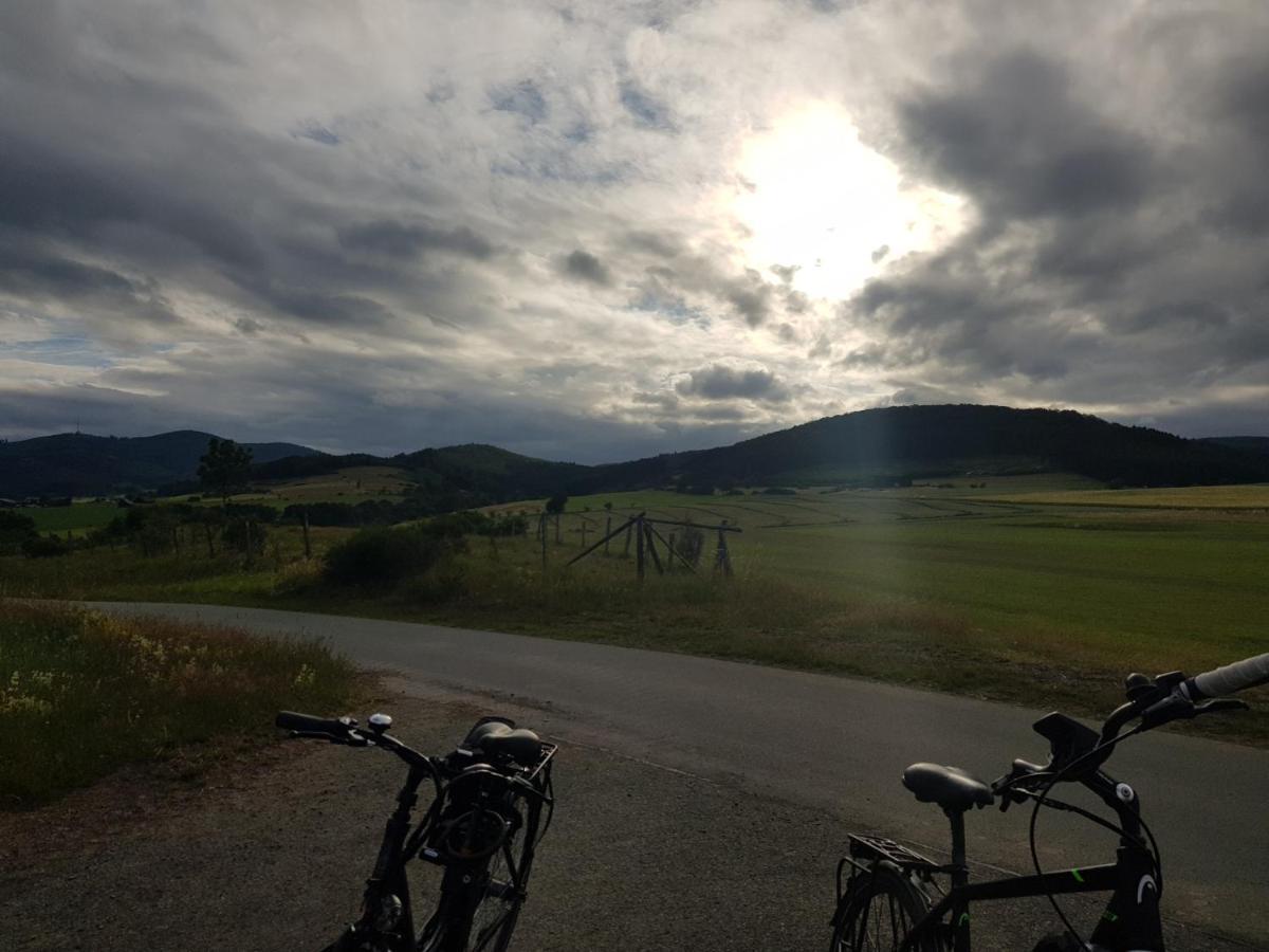 Ferienwohnung Parkblick Medebach Exteriör bild