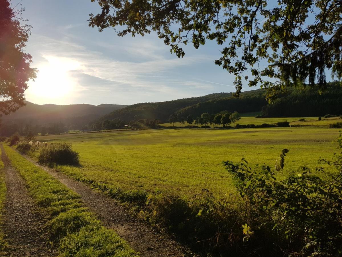 Ferienwohnung Parkblick Medebach Exteriör bild